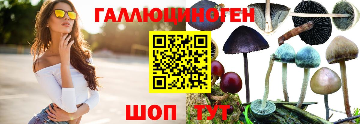 Большой Камень  Псилоцибиновые грибы Magic Shrooms  Вход с VPN 