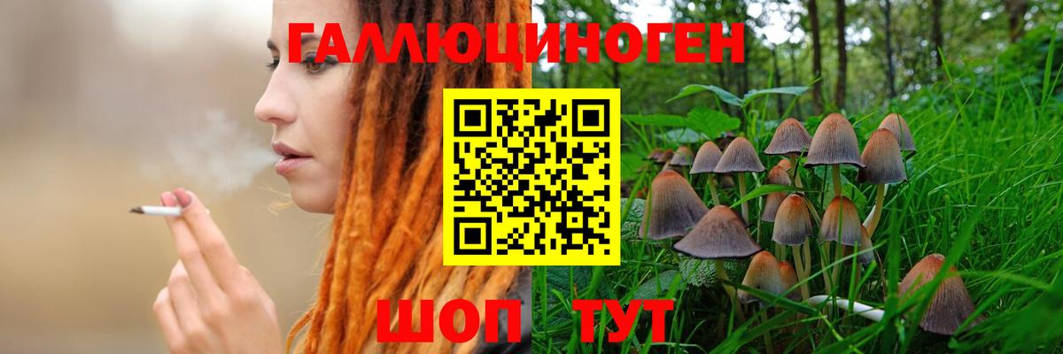 Галлюциногенные грибы Cubensis Большой Камень